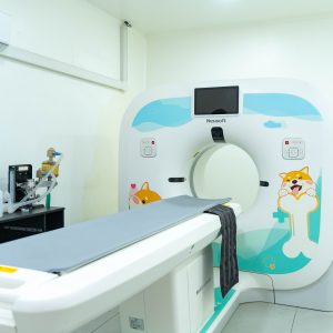 TC VETERINARIO, una tecnología de última generación que nos permite obtener imágenes de alta precisión