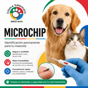 Microchip para Mascotas